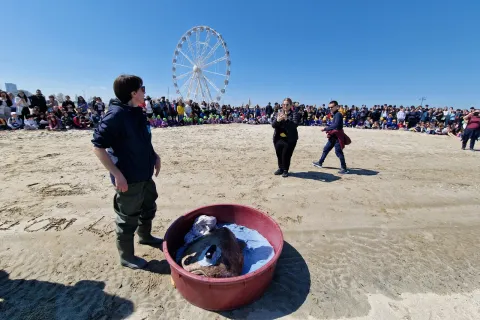  “Giornata del Mare e della Cultura Marinara”2025
