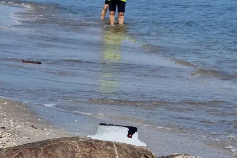  “Giornata del Mare e della Cultura Marinara”2025