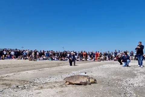  “Giornata del Mare e della Cultura Marinara”2025