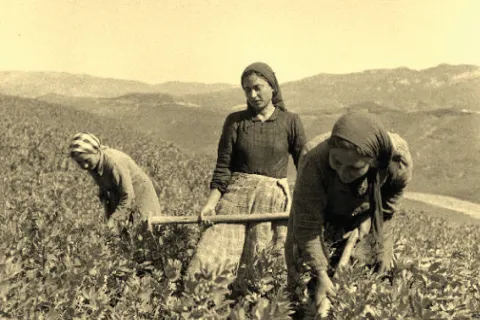 Libri da queste parti, Gino Valeriani, Giancarlo Frisoni e Attilio Giusti presentano “La terra nel cuore"