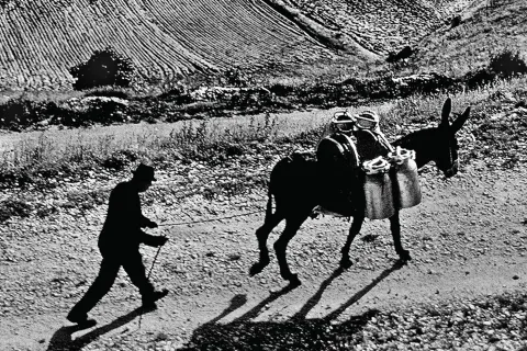 Libri da queste parti, Gino Valeriani, Giancarlo Frisoni e Attilio Giusti presentano “La terra nel cuore"