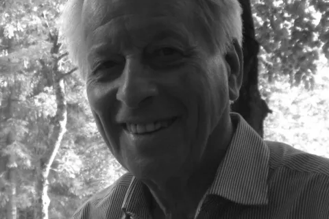 libri da queste parti, meldini