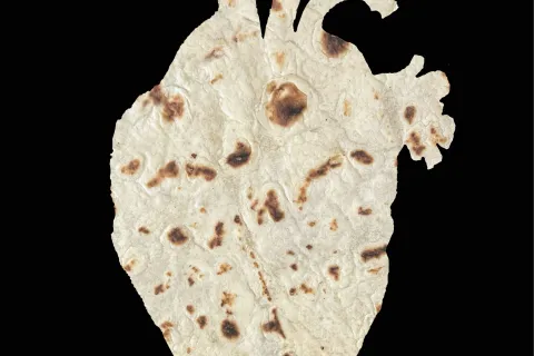 Il digital artist Alessandro Malossi firma una campagna di comunicazione visuale per la città