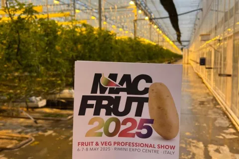 macfrut