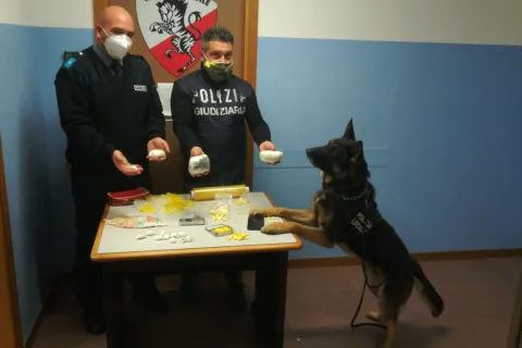 gli_agenti_della_squadra_giudiziaria_della_polizia_locale_di_rimini_con_jago_e_la_droga_sequestrata_.jpeg