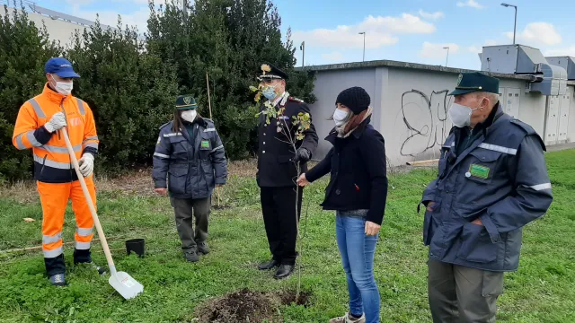 Guardie ecologiche: report attivita annuali