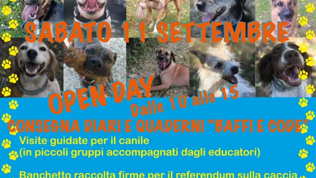 Open day del canile “Stefano Cerni”: sabato 11 settembre la giornata dedicata alle visite guidate per promuovere le adozioni. Ospite speciale il cane Mario, operato dopo l’incidente con i fondi dell’iniziativa “Baffi e code”