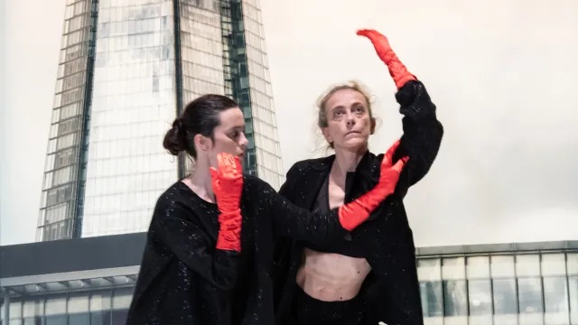 TOCCARE The White Dance