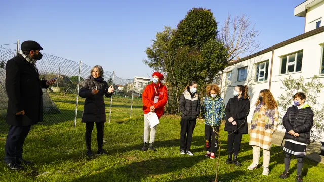 un albero per il futuro