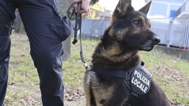 polizia locale unità cinofila