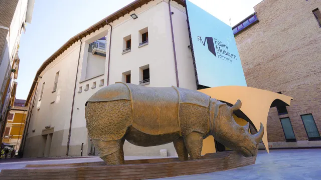 Rina, la rinocerontessa di Fellini