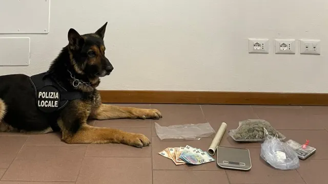 Jago con droga sequestrata