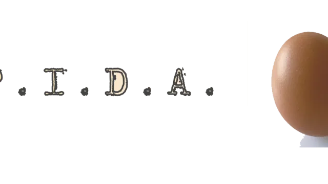 Palazzo Itinerante Documentazione Adolescenti