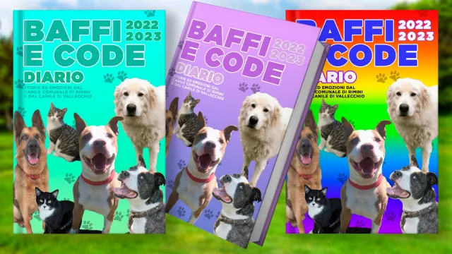 open day al Canile di Rimini Stefano Cerni