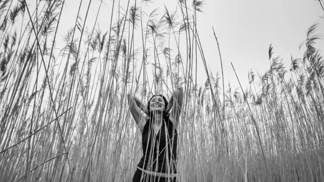 forma sonata arianna lanci