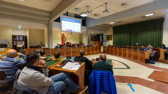 Consulta dello sport