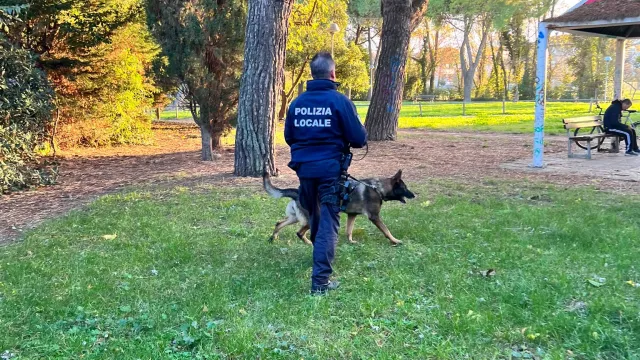 polizia locale e unità cinofile