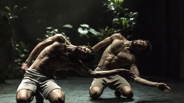 Le piante e i corpi del “Paradiso” di Virgilio Sieni