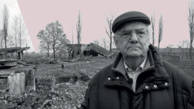 testimoni dello sterminio