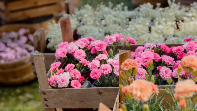 giardini d'autore rimini