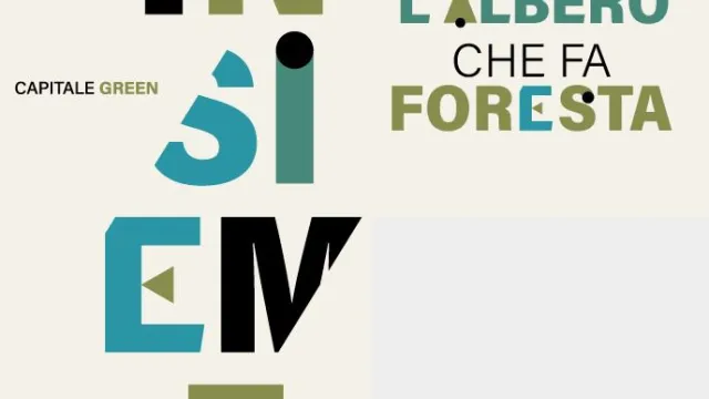 conf. piano del verde