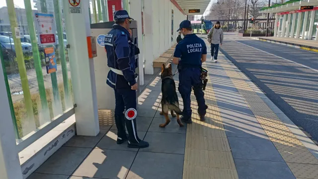 presidio polizia locale