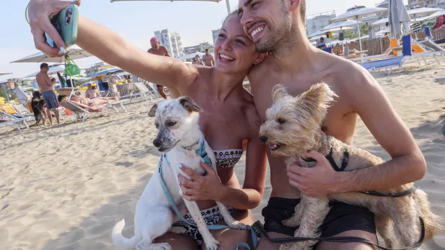cani in spiaggia