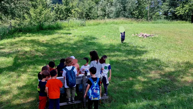 campeggi delle scuole d’infanzia comunale