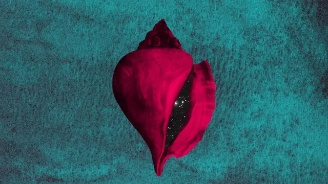  Le Città Visibili  2023