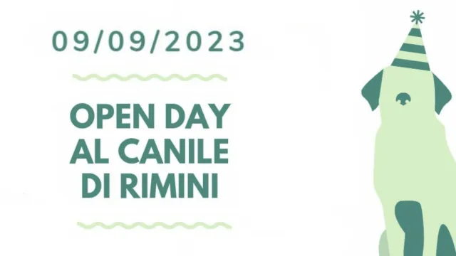 open day canile