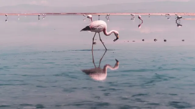 Copertina cool List 2024 del National Geographic