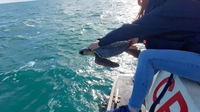 “Rimini Blue Lab”: “Mimmo” e “Carolina” ritornano in mare.