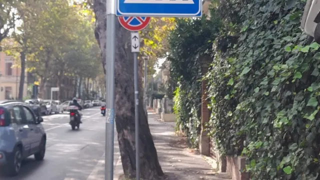 videosorveglianza tramite fototrappole