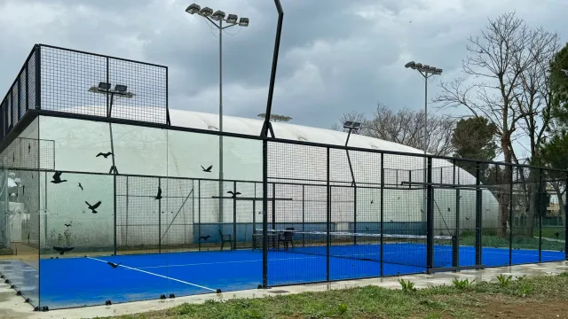 barriere anticollisione volatili