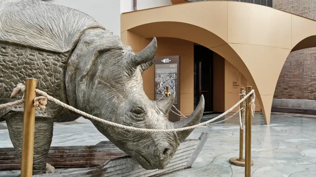 Ingresso Palazzo del Fulgor