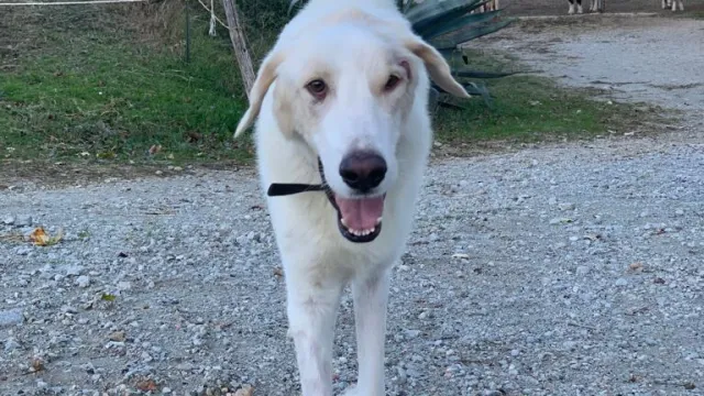 Eddy cattura i cuori di Rimini 
