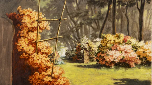 4^ Biennale Disegno Rimini | La Rosa di Bagdad. Alla riscoperta del primo film animato italiano