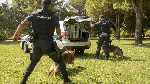 unità cinofile della Polizia Locale