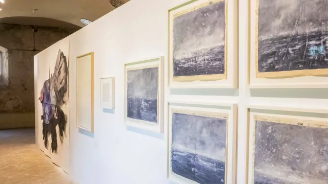 Biennale del Disegno Rimini 2024