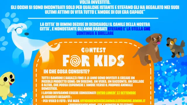 Rimini ricorda Stefano Cerni. Domenica 29 settembre, al canile comunale, l’evento in sua memoria