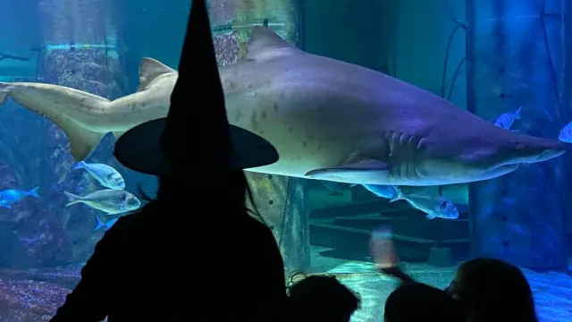 L’ex stazione di via Pascoli si trasforma in Halloween Express