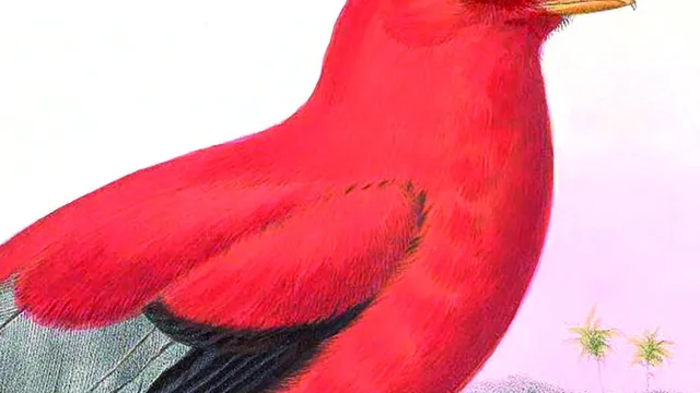 Libri da queste parti, venerdì 4 ottobre