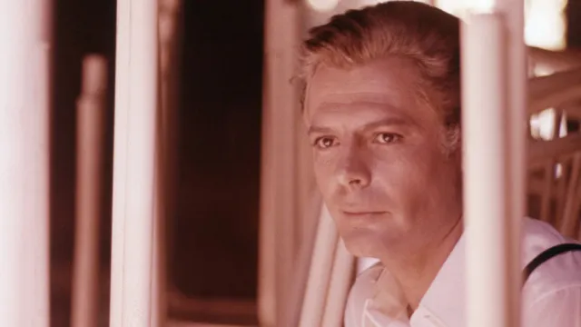 semplicemente marcello - la mostra