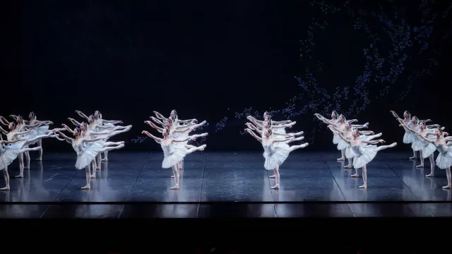 bayadere