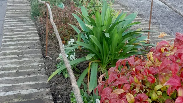 vasca mure federiciane