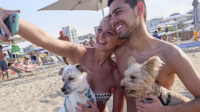 bagno 81 dog friendly