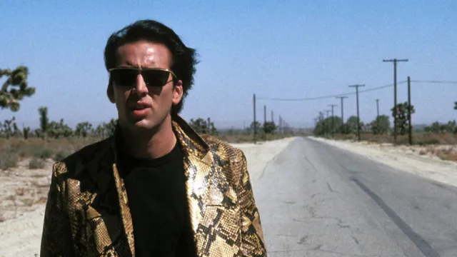 film cuore selvaggio