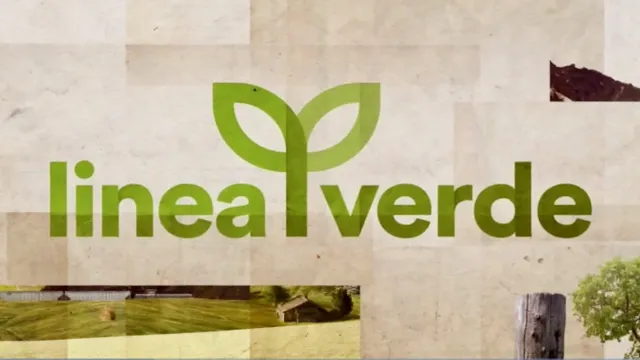 logo linea verde