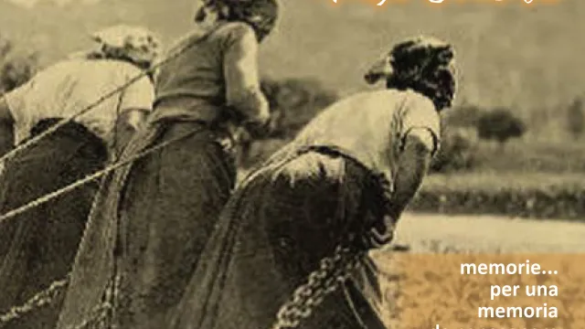 Copertina del libro “La terra nel cuore"