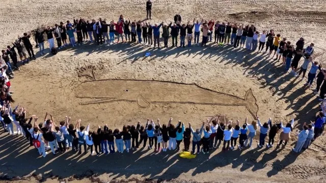 grande capodoglio spiaggia
